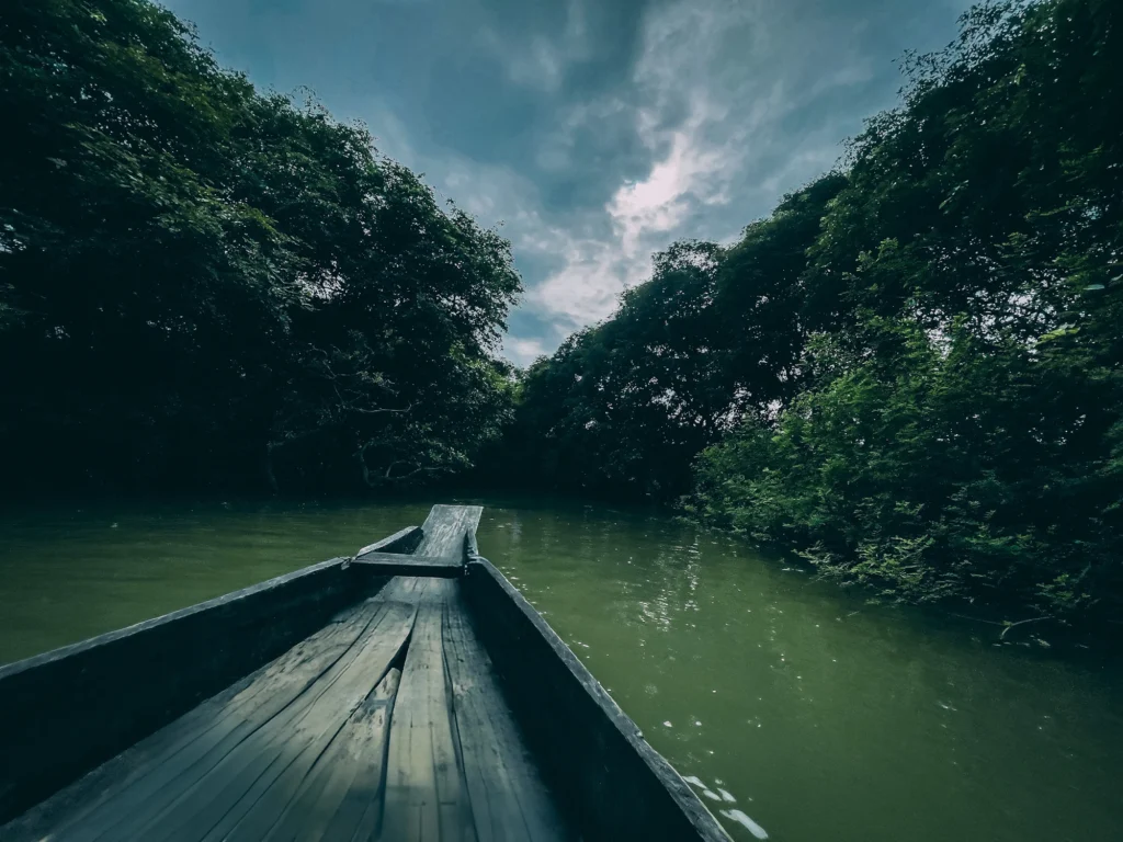 নৌকার গলুই থেকে দেখা জলাবন