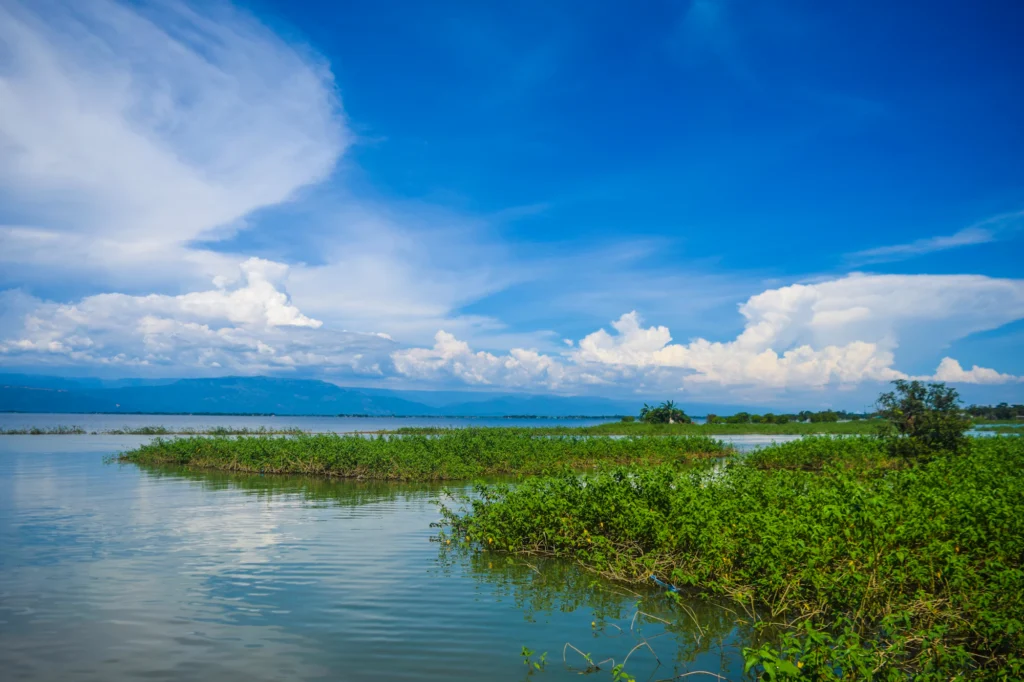 নীল আকাশের নিচে সবুজ হাওর