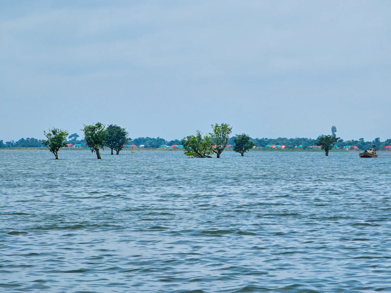জলে ডুবে থাকা হিজল-করচ গাছের সারি