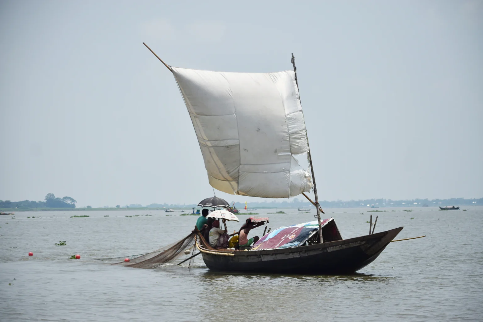 সাদা পাল তোলা দেশি নৌকা